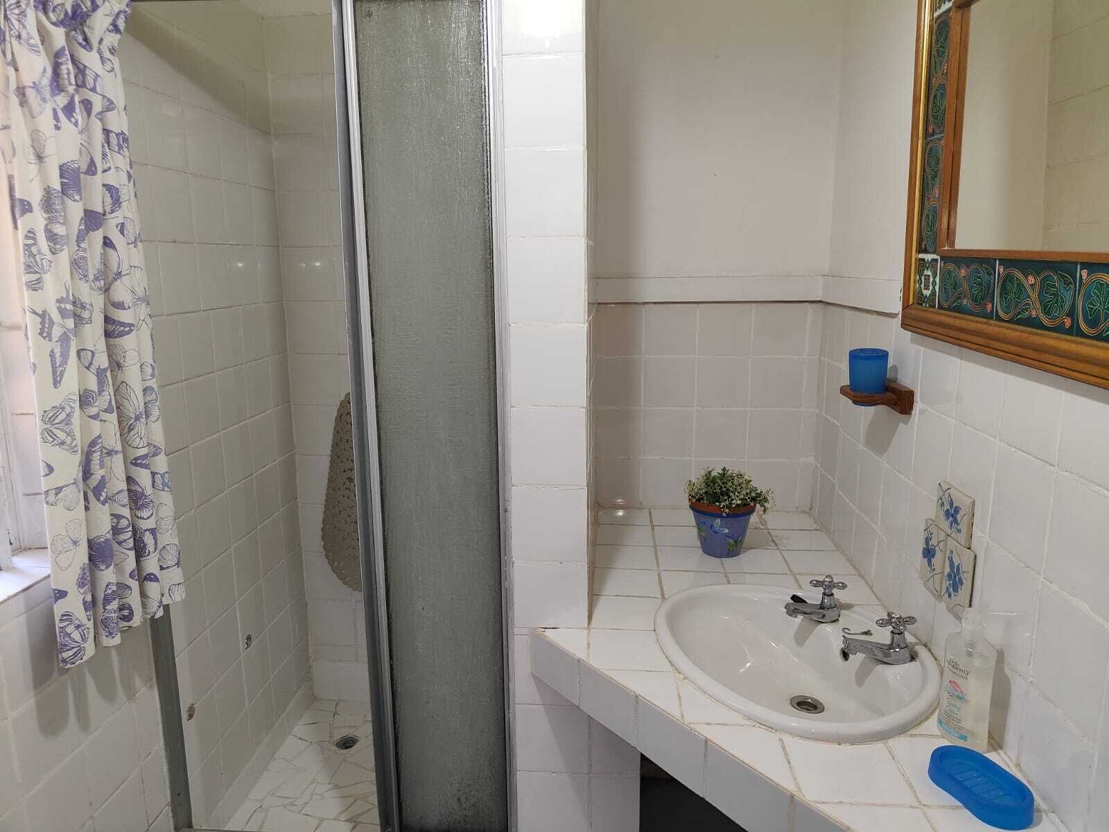 A bathroom with a shower, a sink, a mirror, and a small shelf with a plant and a blue cup.