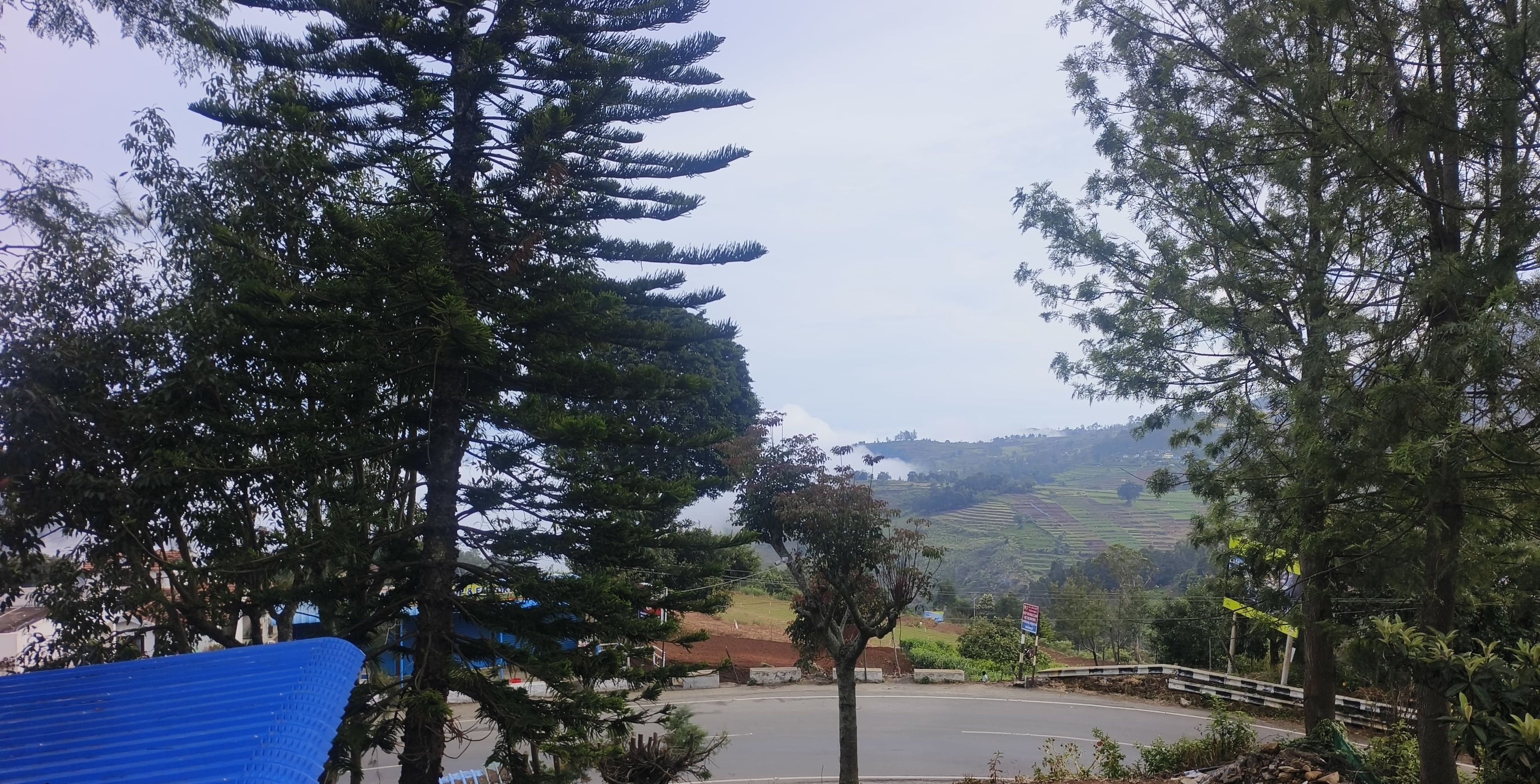Uma estrada rural com árvores e uma paisagem acidentada ao fundo.