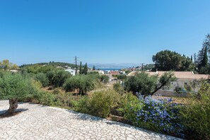 A stone-paved patio with a tree trunk and flowering bushes.