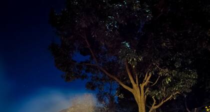 Nomadsland by Cottage Club Inn