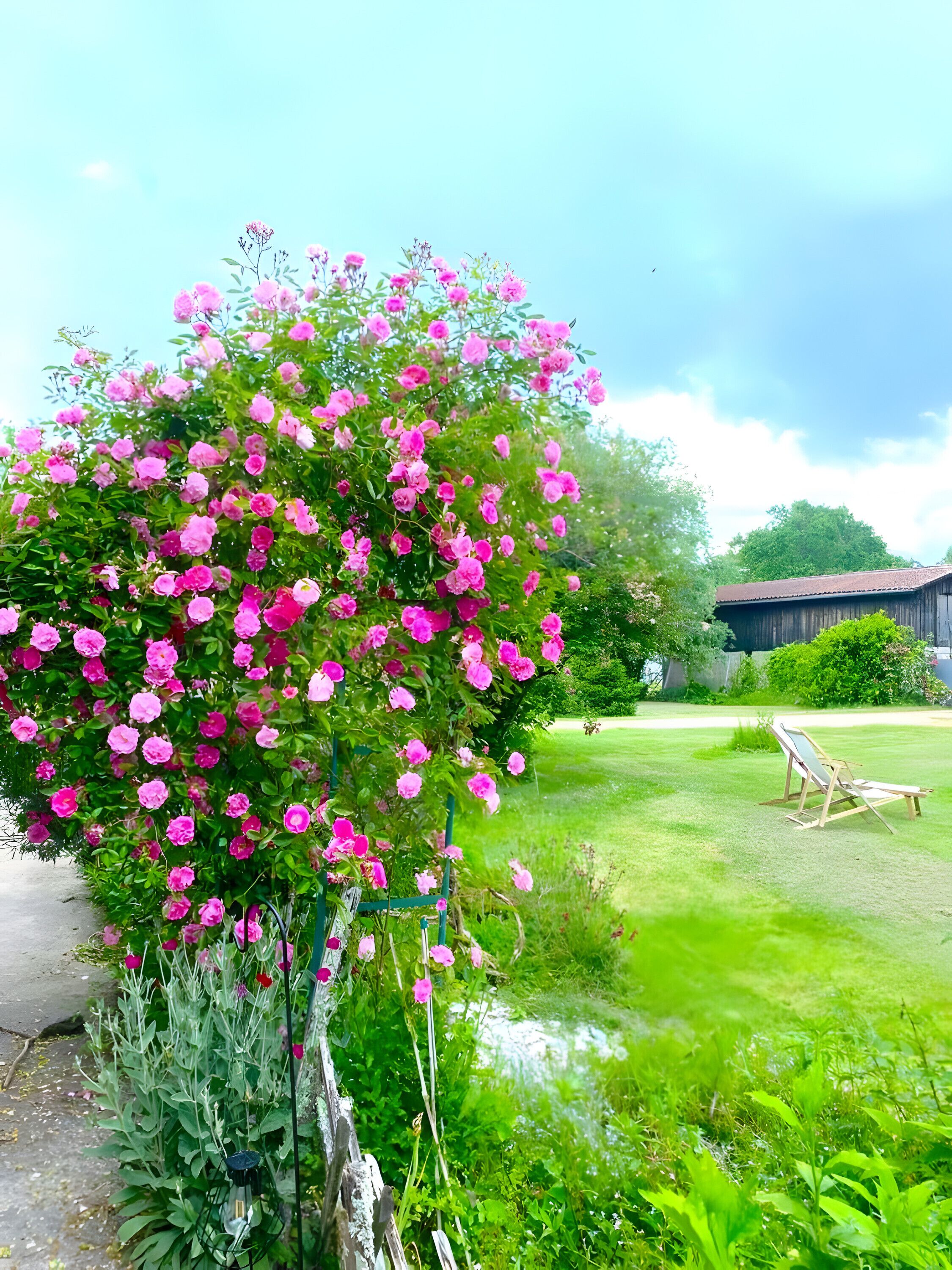 Jardines del alojamiento