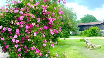 Overnatningsstedets område