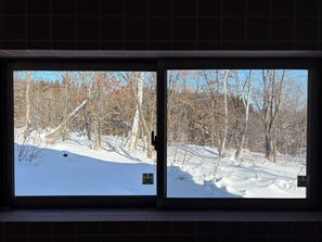 Interior - Meanwhile Woods - large garden and private chalet overlooking Mt. Myoukou, 5 min. walk to Akakura Ski Resort main gondola (妙高市田切西原)