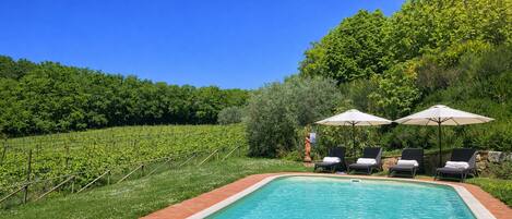 Seasonal outdoor pool, pool umbrellas, pool loungers