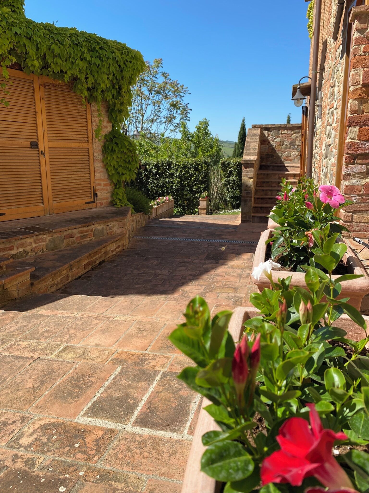 Un patio con un sendero de piedra que lleva a una puerta de madera, rodeado de follaje y plantas en macetas.