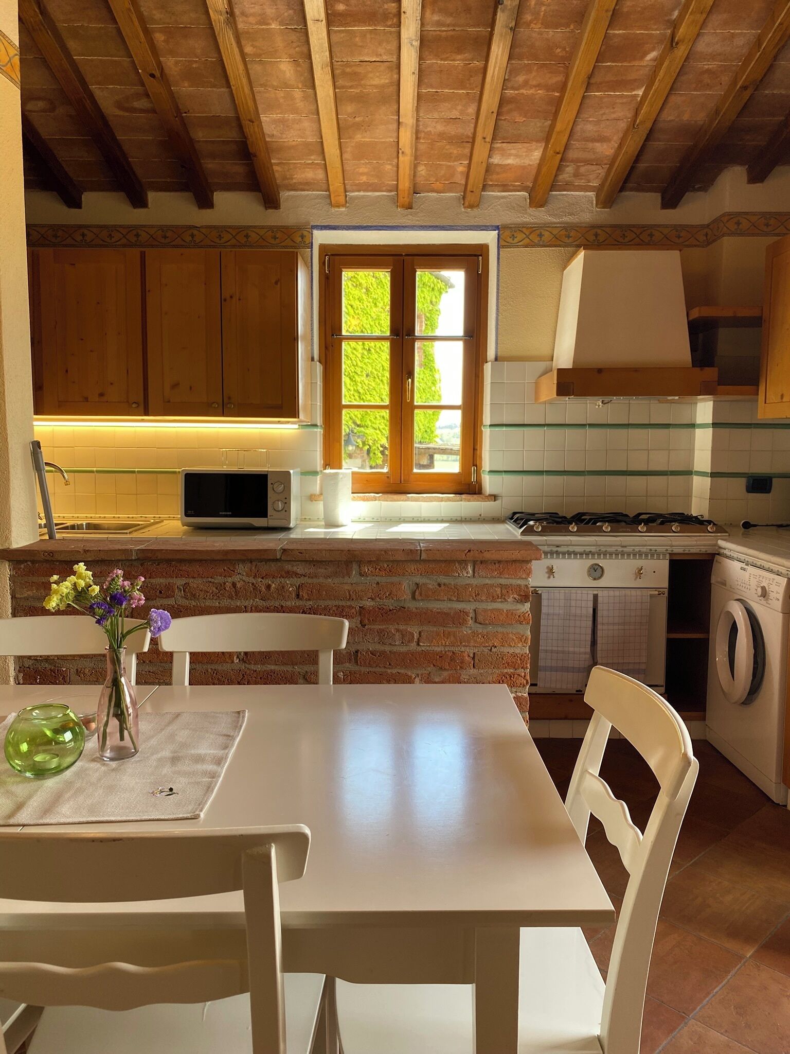 Cozinha com vigas de madeira, janela com vista para vegetação, micro-ondas, pia e máquina de lavar.