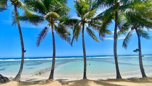 A beach with palm trees and clear blue water. - Beachfront 2BR Condo in Juan Dolio – Stylish, Cozy & Fully Equipped Retreat (Playa Juan Dolio)