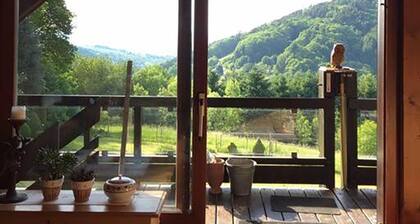 Dachstudio in Traumlage mit spektakulärem Ausblick - mit Balkonen und Garten