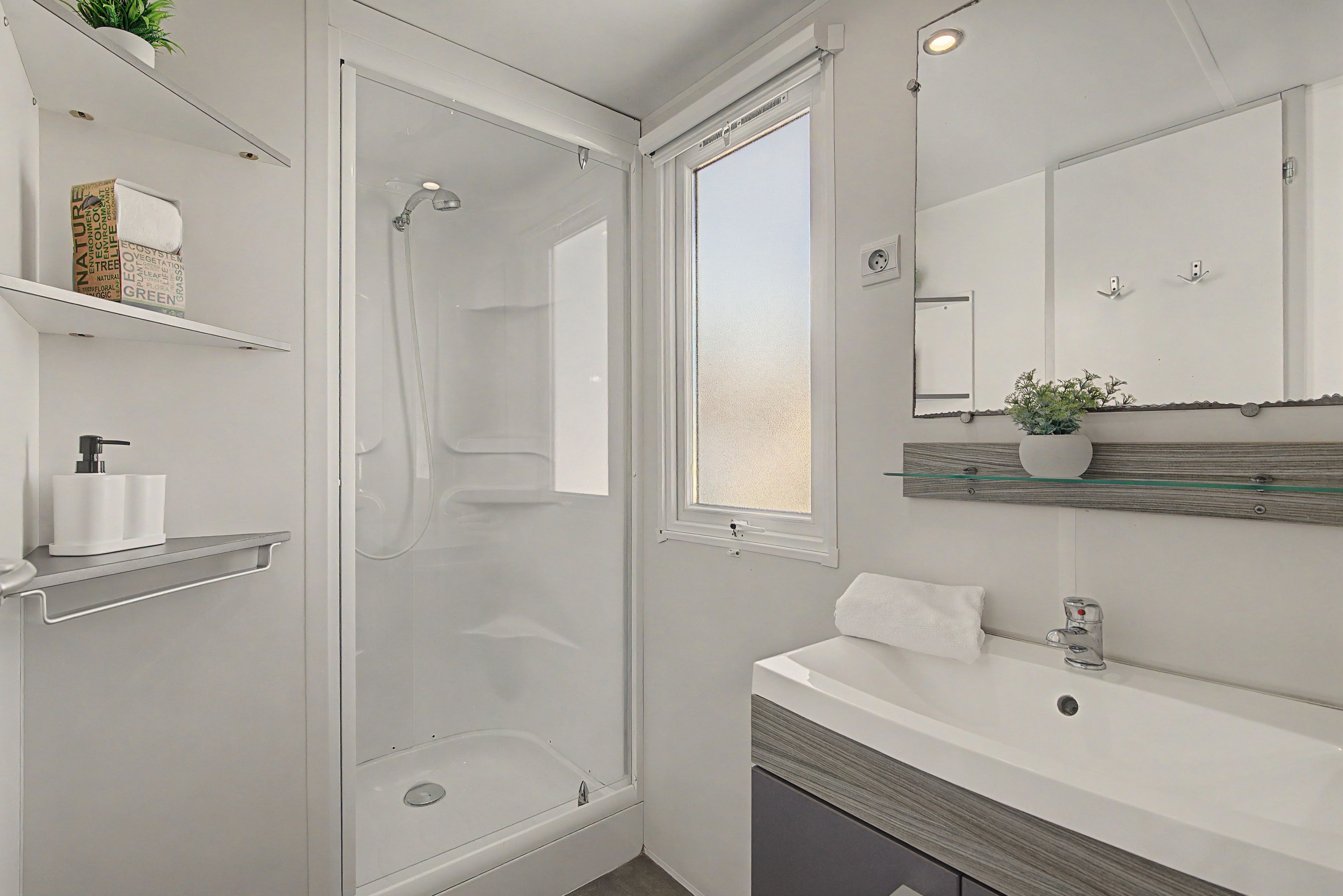 A modern bathroom with a glass shower enclosure, a vanity with a mirror, and a small potted plant on the countertop.