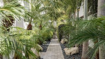 Terrein van de accommodatie