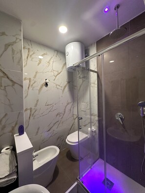 Shower, hair dryer, bidet, towels