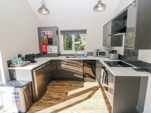 Dishwasher, cookware/dishes/utensils - Dwrgi (Llanybydder)