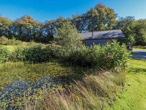Property grounds - Dwrgi (Llanybydder)