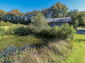 Property grounds - Cadno (Llanybydder)