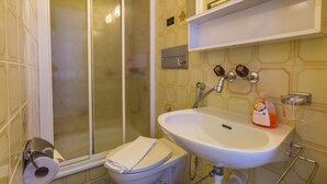 A bathroom with a shower, toilet, sink, and a shelf with toiletries. - Hotel Sterne - Economy Triple (Beatenberg)