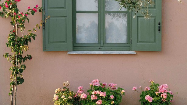 A building with a pink facade, a green window with shutters, and pink flowers in front. - Intimate Studio w Garden and Inviting Shared Pool (Samos)