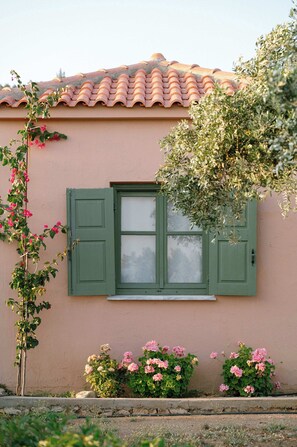 Ein Gebäude mit einer rosafarbenen Fassade, einem grünen Fenster mit Fensterläden und vorne rosa Blumen.
