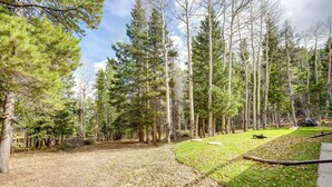 A forested area with a dirt path, a grassy area with a hose, and a bench. - Hot Tub + Game Room: Peaceful Retreat in Evergreen (Evergreen)