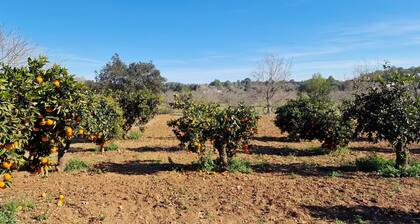 Finca con Piscina Rodeada de Naturaleza
