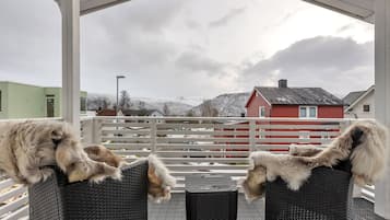 テラス / パティオ