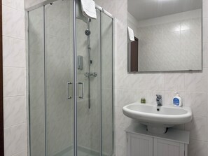 Shower, hair dryer, bidet, towels