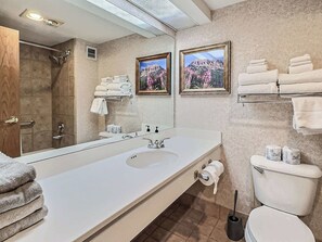 Shower, hair dryer, towels