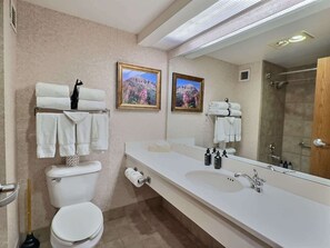 Shower, hair dryer, towels