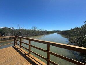 A wooden boardwalk leading to a calm water body surrounded by dense mangrove vegetation. - Casa Luxo da Praia - Ponta das Canas (Florianópolis)