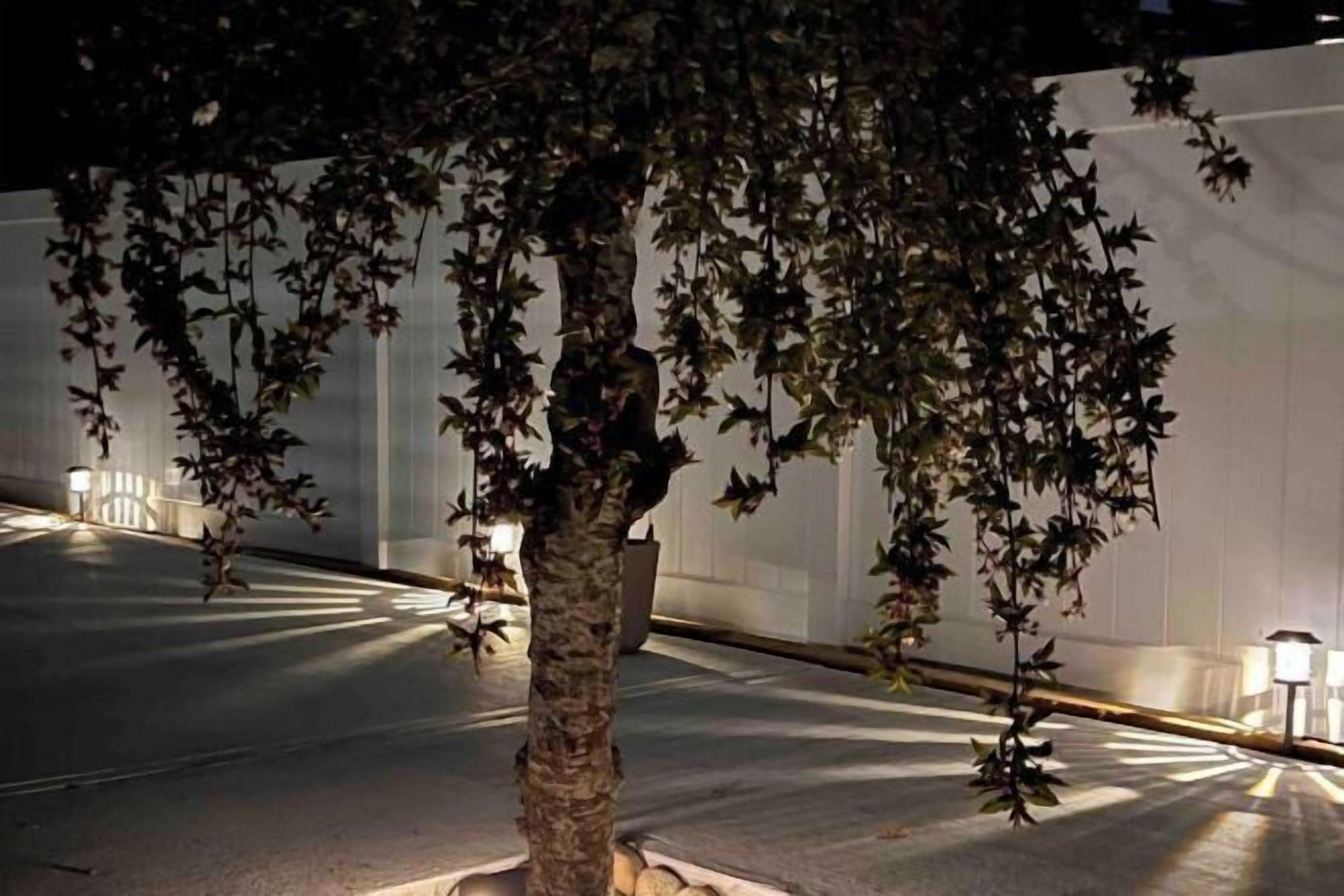 Overnattingsstedets uteområder