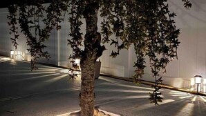 A tree-lined pathway with a white wall and a lamp post. - Vancouver Garden Hotel (Richmond)