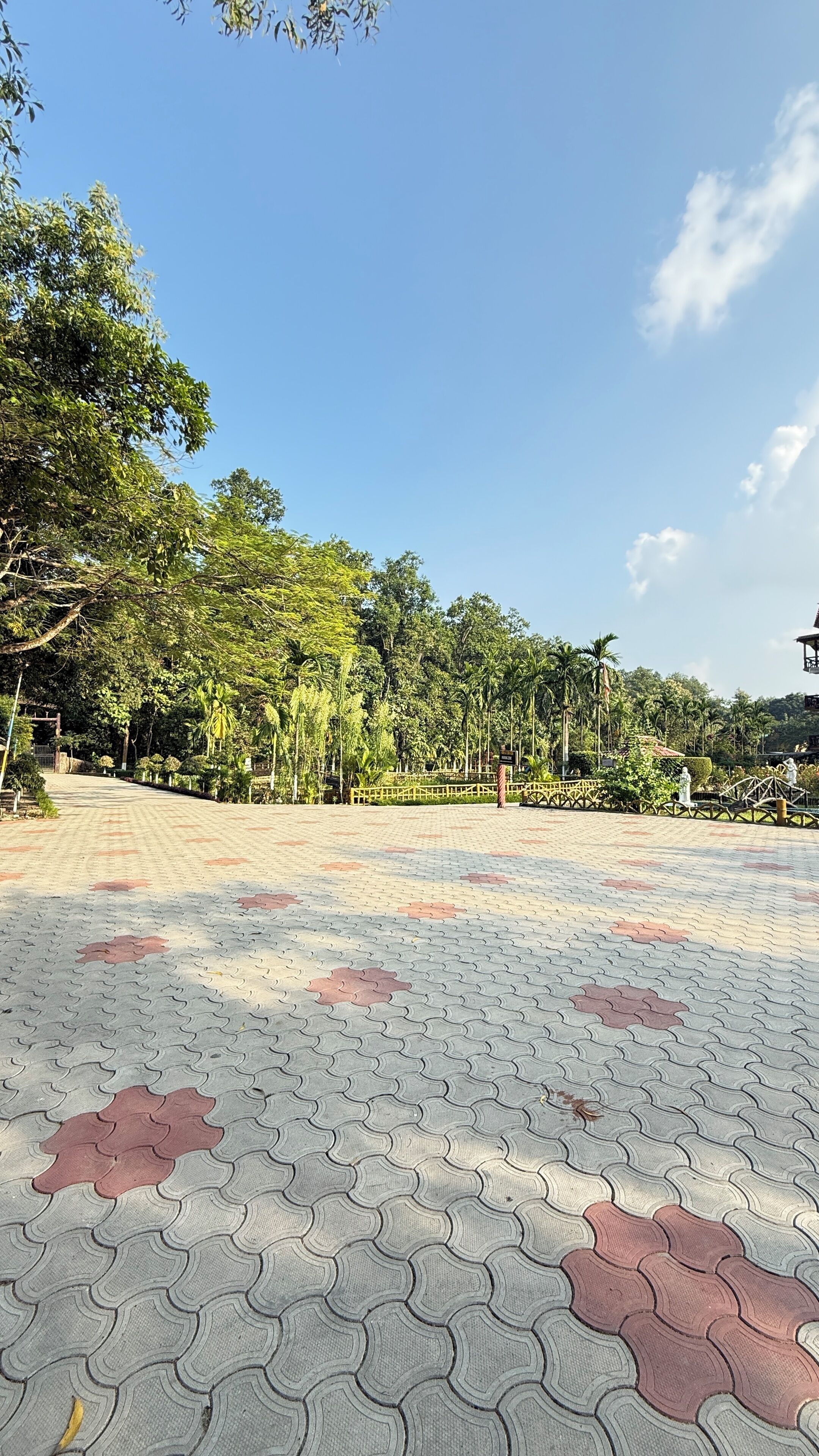 A paved walkway with a patterned design, surrounded by lush greenery and palm trees.