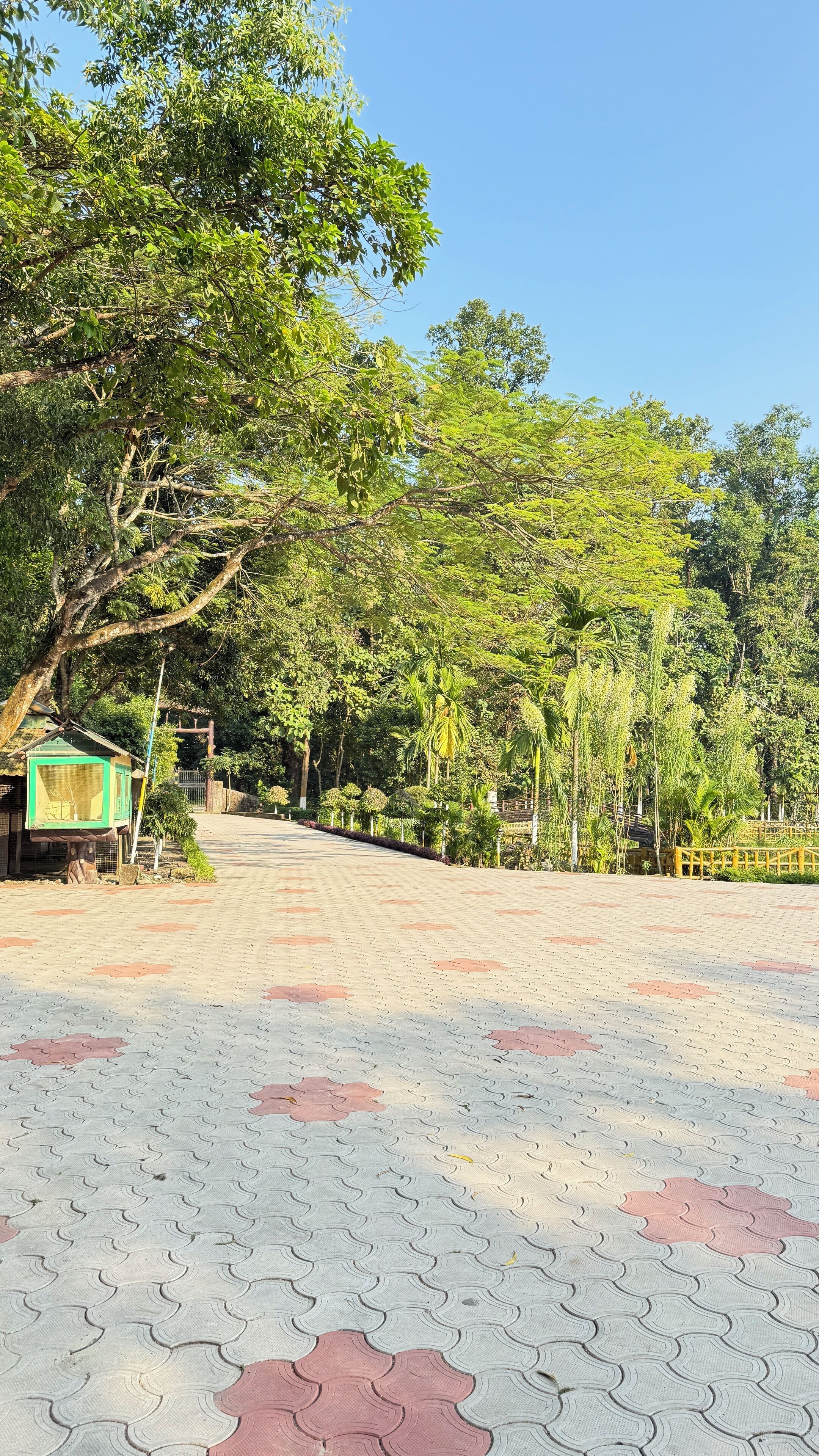 A paved walkway with interlocking tiles, surrounded by lush greenery and trees.