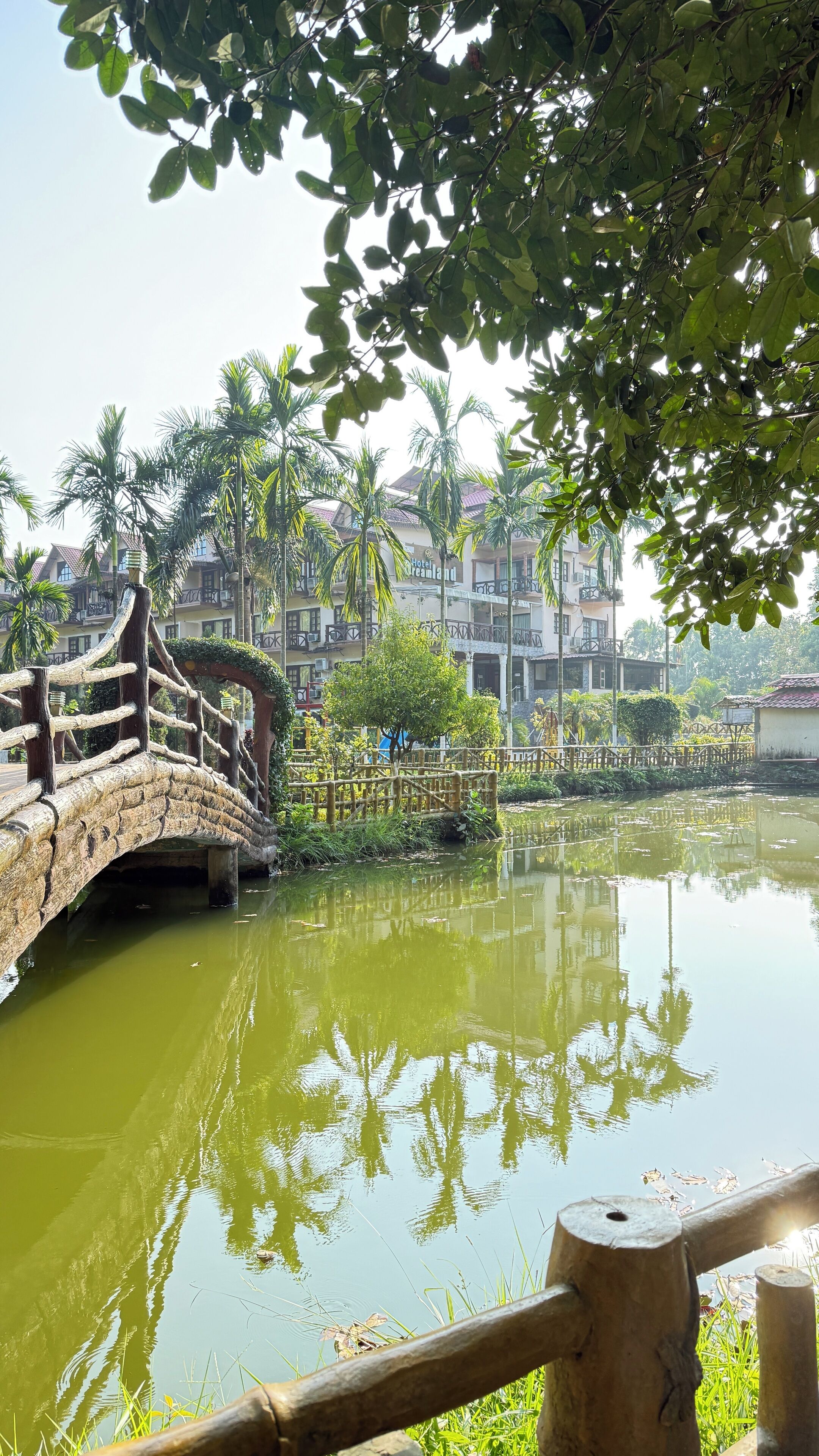 Un puente de madera rústico sobre un estanque tranquilo con reflejos, rodeado de abundante vegetación y palmeras, que conduce a un edificio con un letrero que dice 'Hotel Dreamland'.