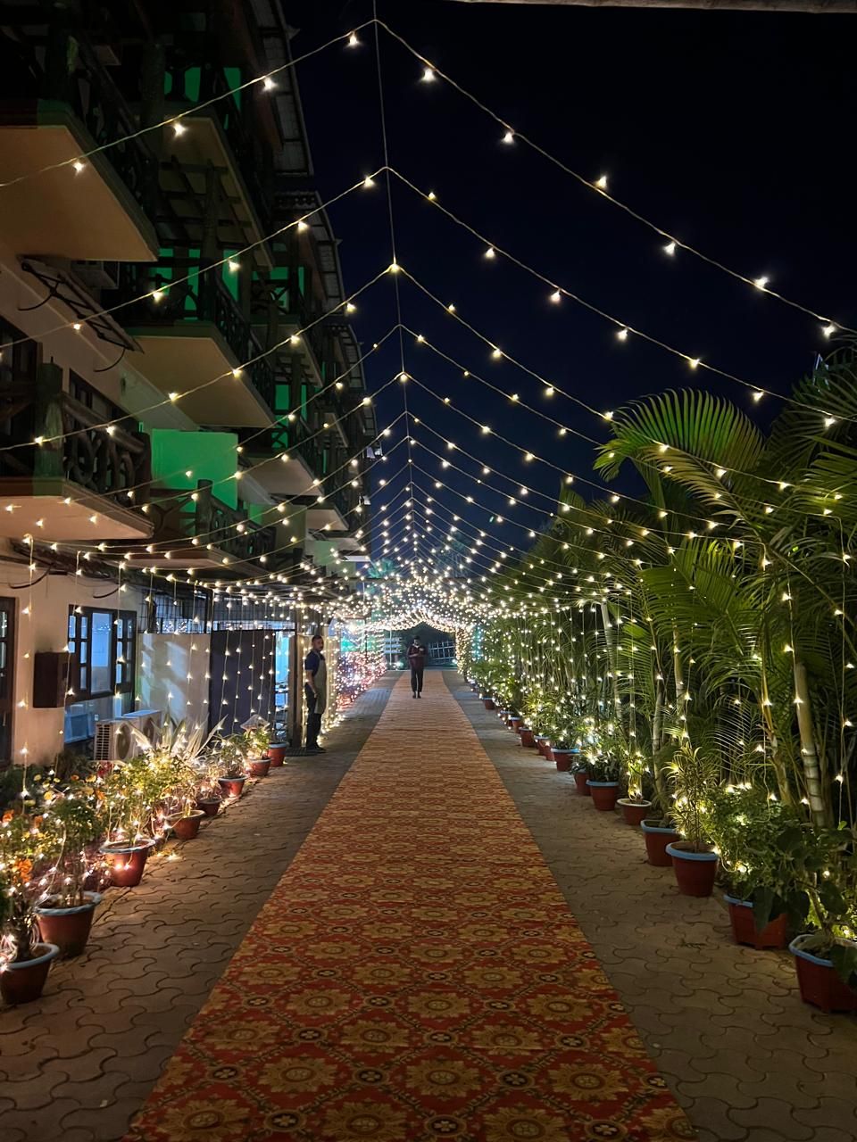Un camino bordeado por plantas en macetas y luces colgantes, que conduce a la entrada de un edificio.