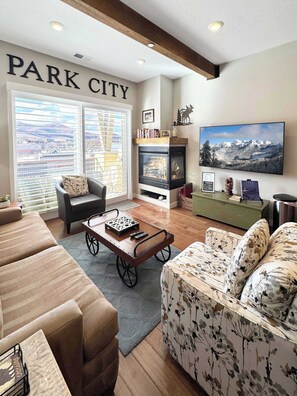 TV, fireplace, DVD player