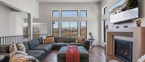 TV, fireplace, books, offices