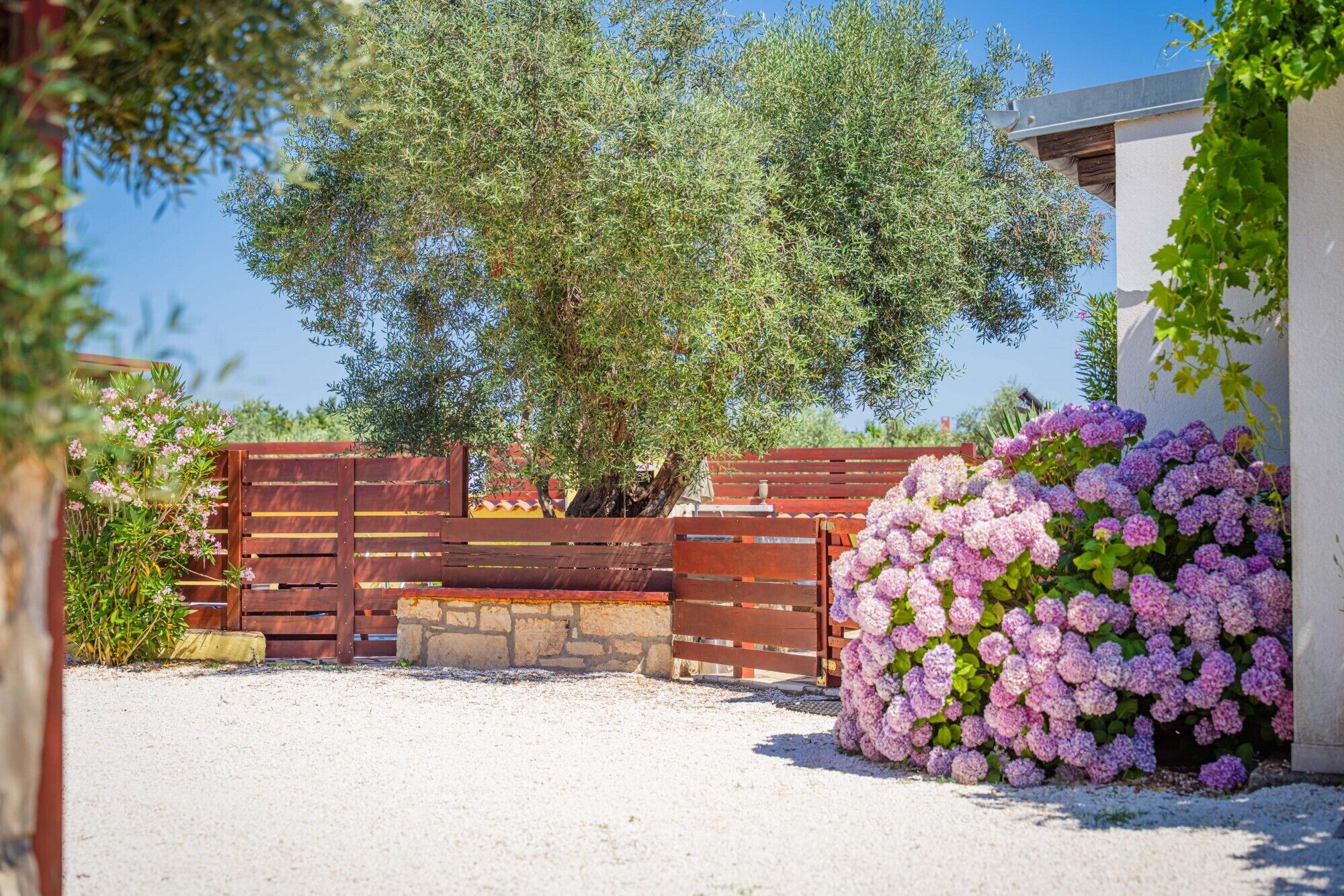 A fenced outdoor area with a tree, a bench, and a hedge of purple flowers.