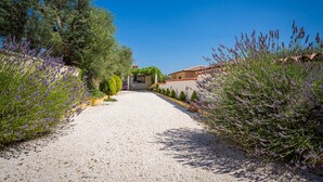 A gravel path leading to a building with a tiled roof, surrounded by greenery and lavender plants.