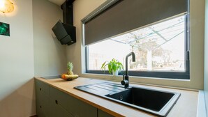A kitchen with a window, a sink, a potted plant, and a fruit bowl.