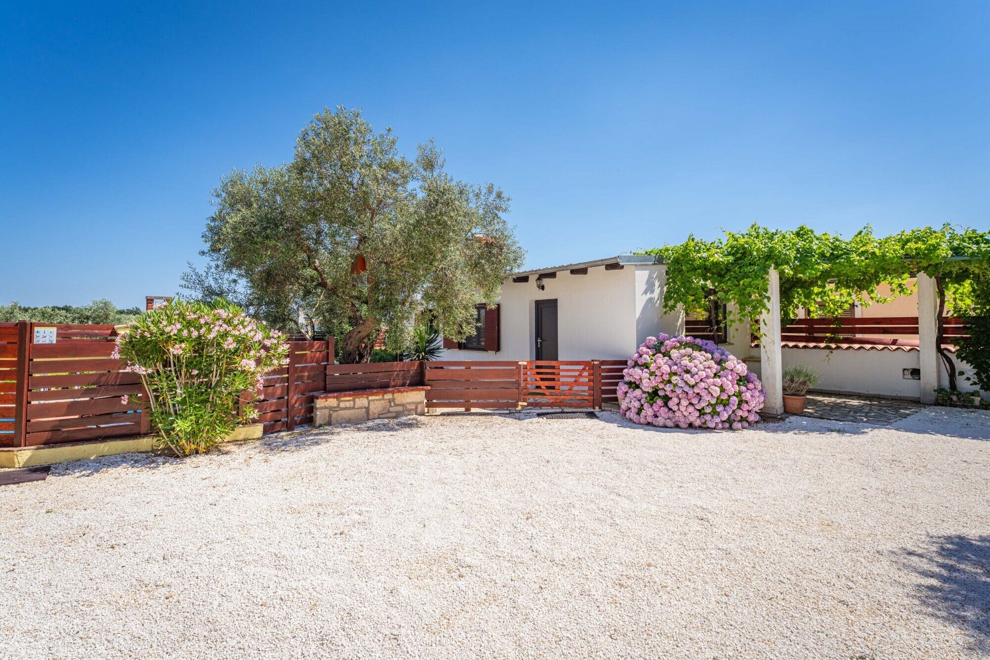 Un bâtiment avec une allée en gravier, une clôture en bois et un grand arbuste en fleurs.
