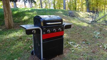 Àrea exterior de l'allotjament