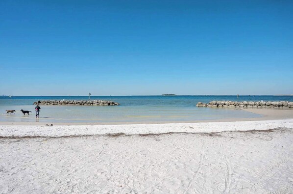 Playa en los alrededores 