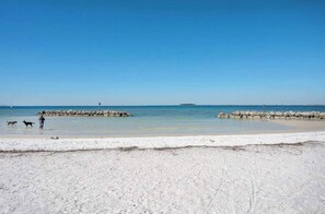 Nära stranden