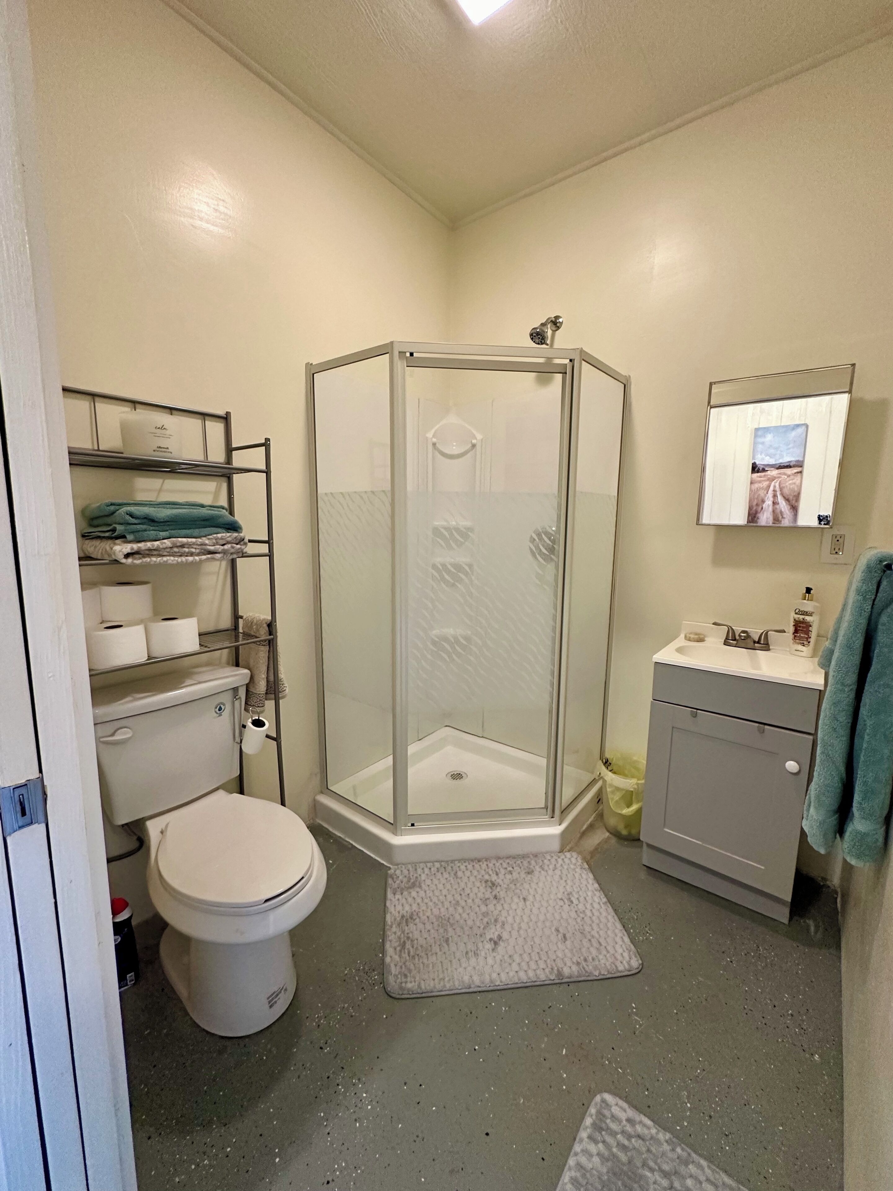 Chuveiro, toalhas de banho, sabonete, papel higiênico