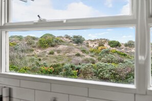 A window with a view of a natural landscape, including bushes and trees.