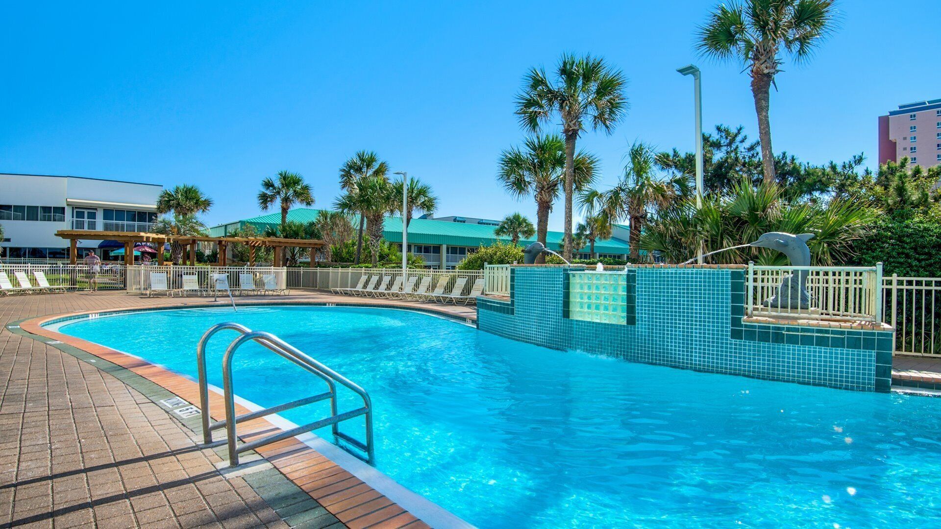 A swimming pool with a tiled edge, surrounded by palm trees and a building in the background.
