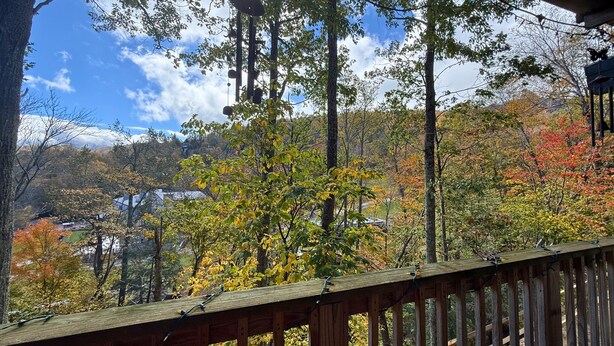 Eine Holzterrasse mit Blick auf bewaldetes Gebiet und klarem Himmel.