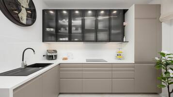 Fridge, stovetop, dishwasher, electric kettle