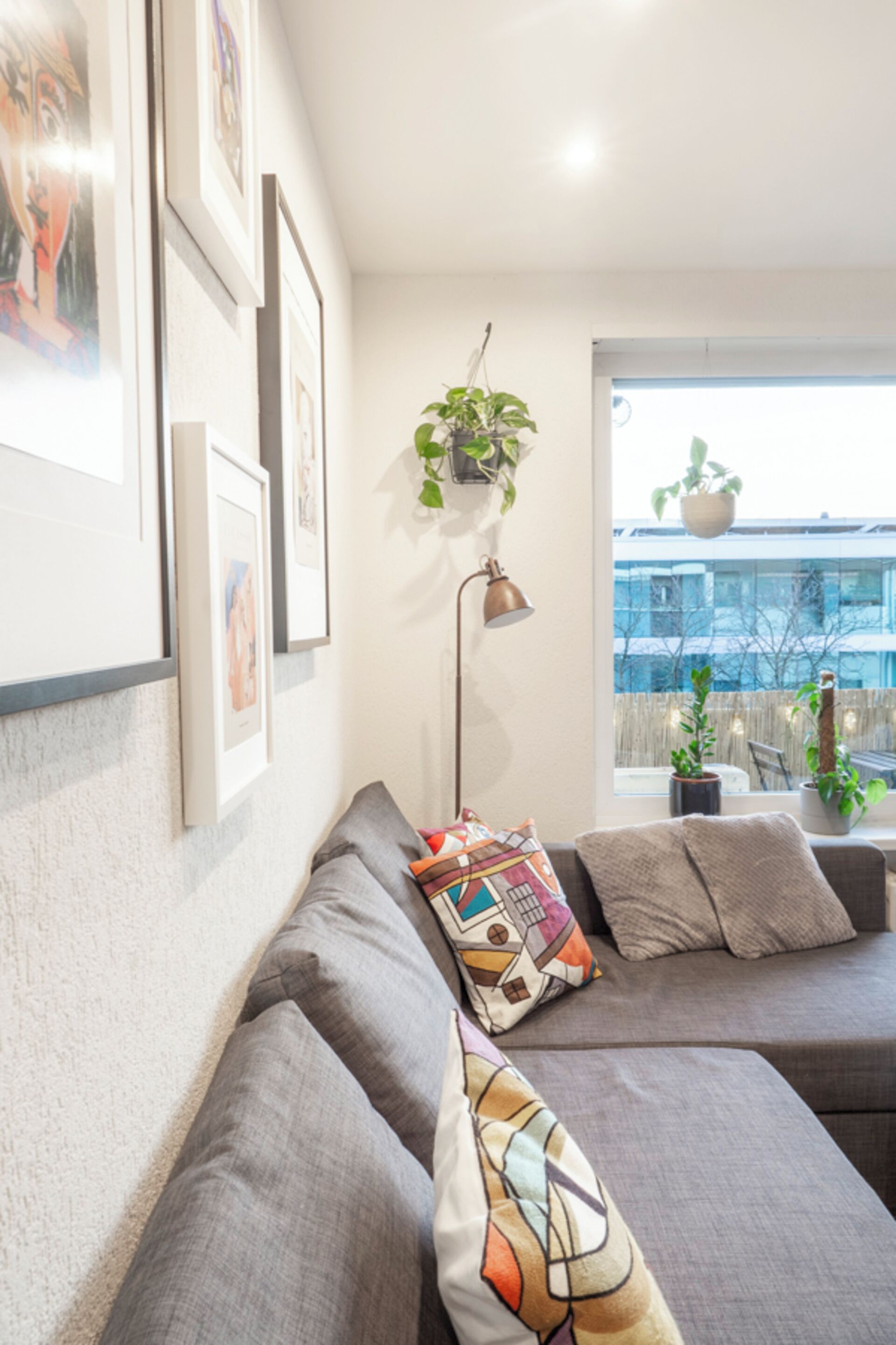 Ein modernes Wohnzimmer mit einem grauen Sofa, einem farbenfrohen Kissen und einer hängenden Pflanze.
