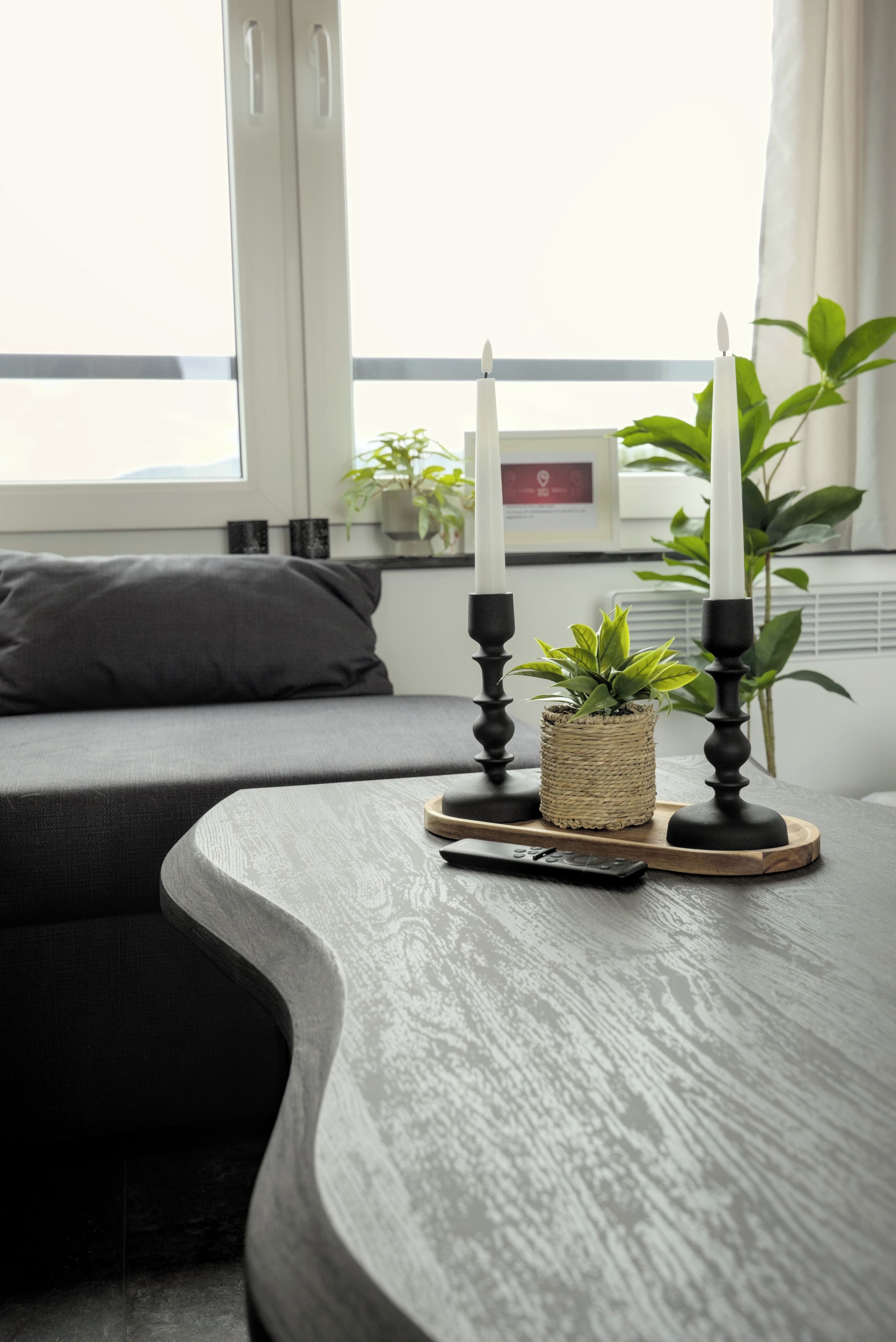 A modern living room with a curved wooden table, a grey sofa, and a small potted plant.